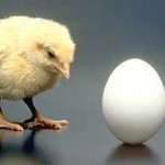 chicken_egg